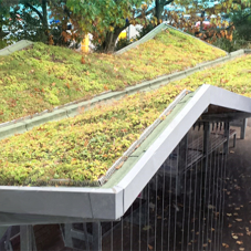 Bauder green roof wins Norfolk Association of Architects Award